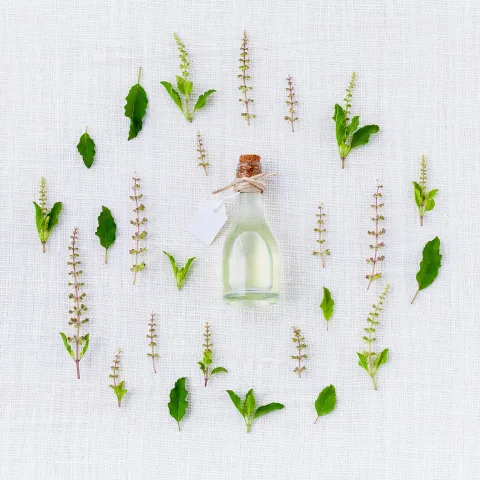 Aceite esencial de eucalipto, en la tienda de ejemplo Ceibo