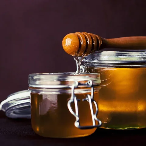 Miel de monte orgánica, en la tienda de ejemplo Ceibo