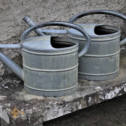 Regadera de chapa, en la tienda de ejemplo Vivero Los Aromos